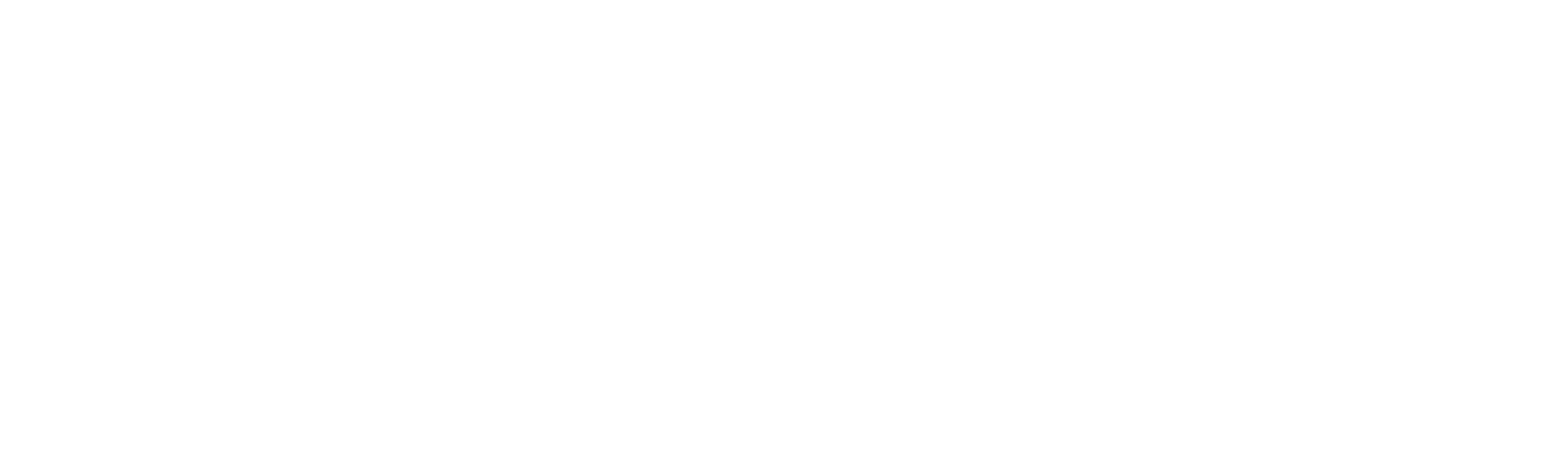 Direct Strategies Logo - Your Partner in Digital Marketing Excellence