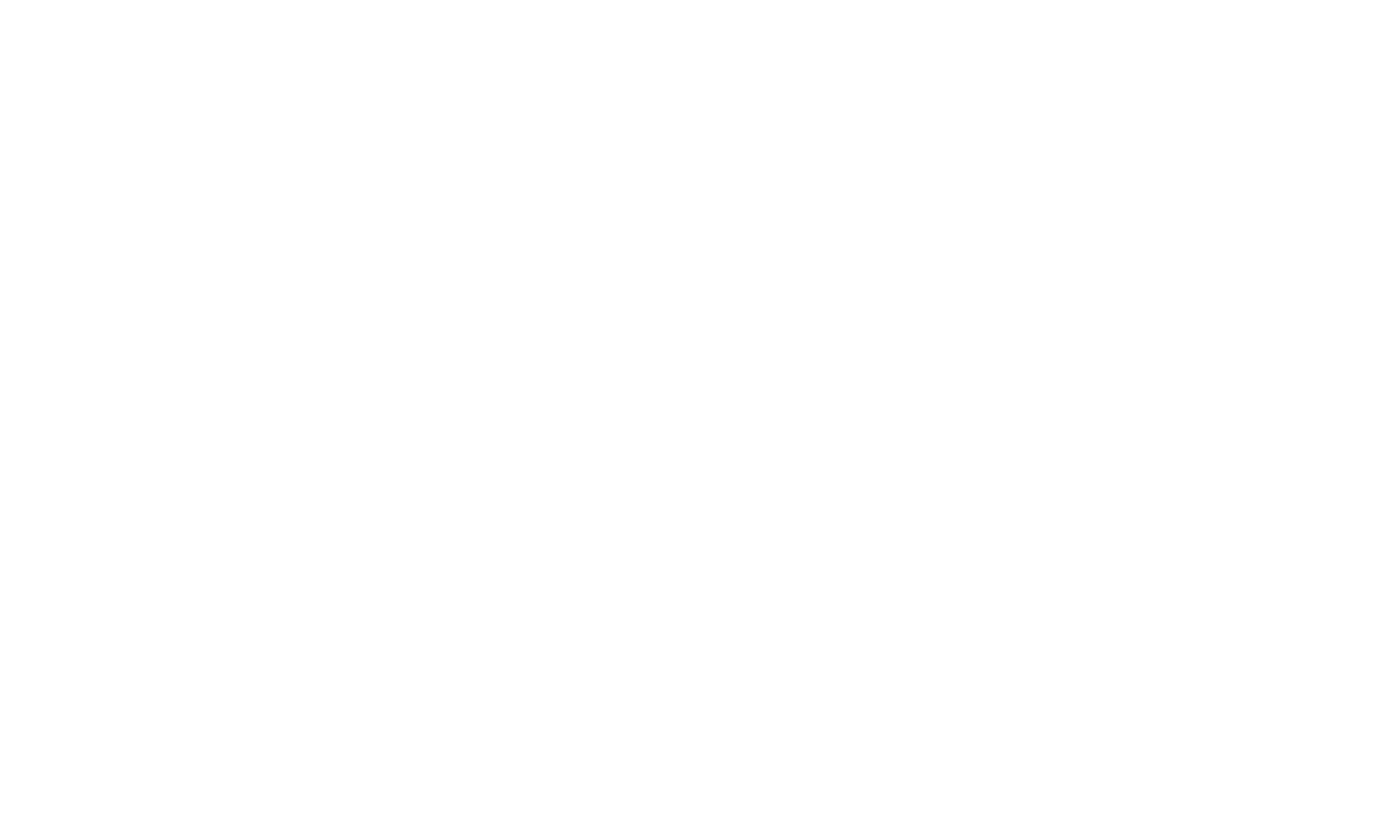 Direct Strategies Logo - Commitment to Digital Marketing Success